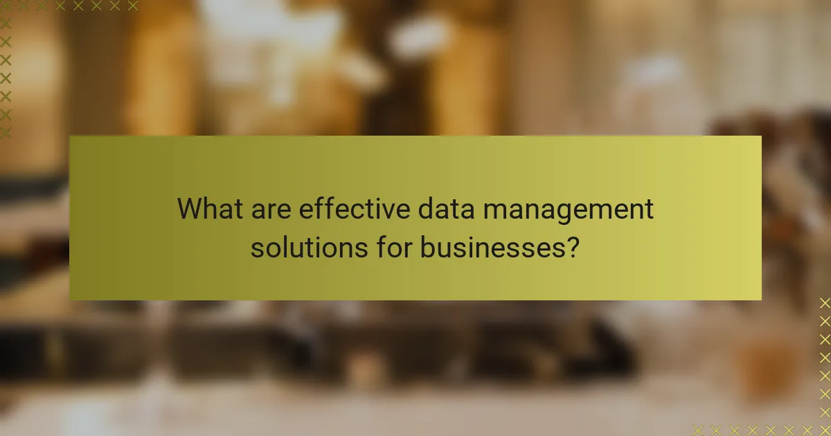 What are effective data management solutions for businesses?