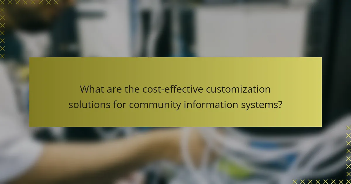 What are the cost-effective customization solutions for community information systems?