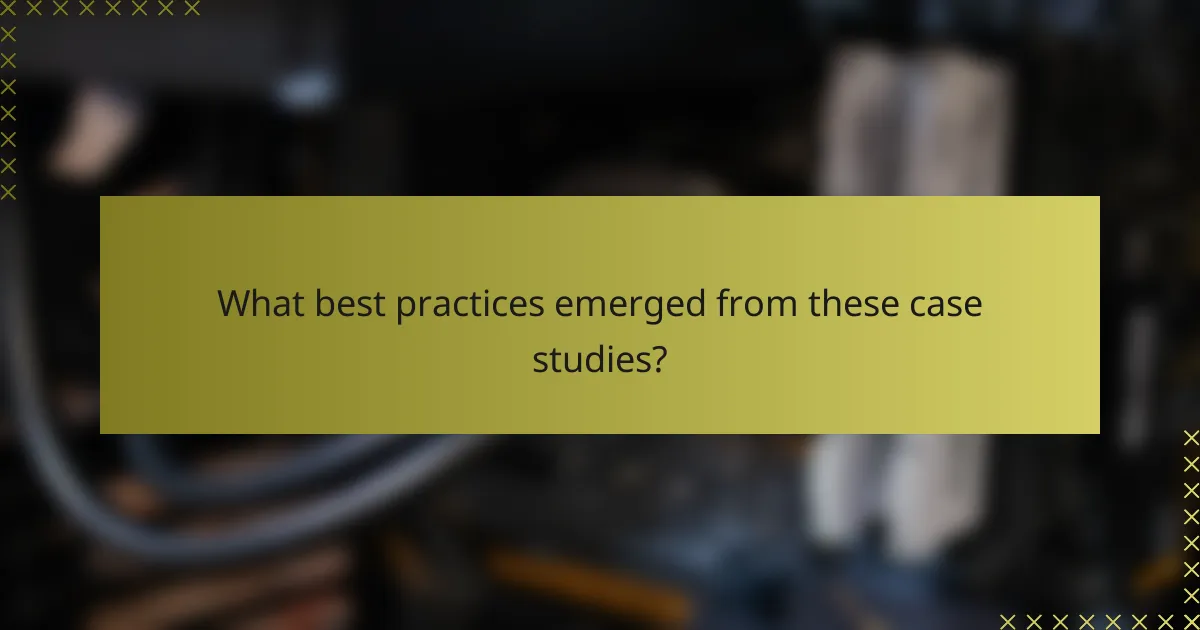 What best practices emerged from these case studies?